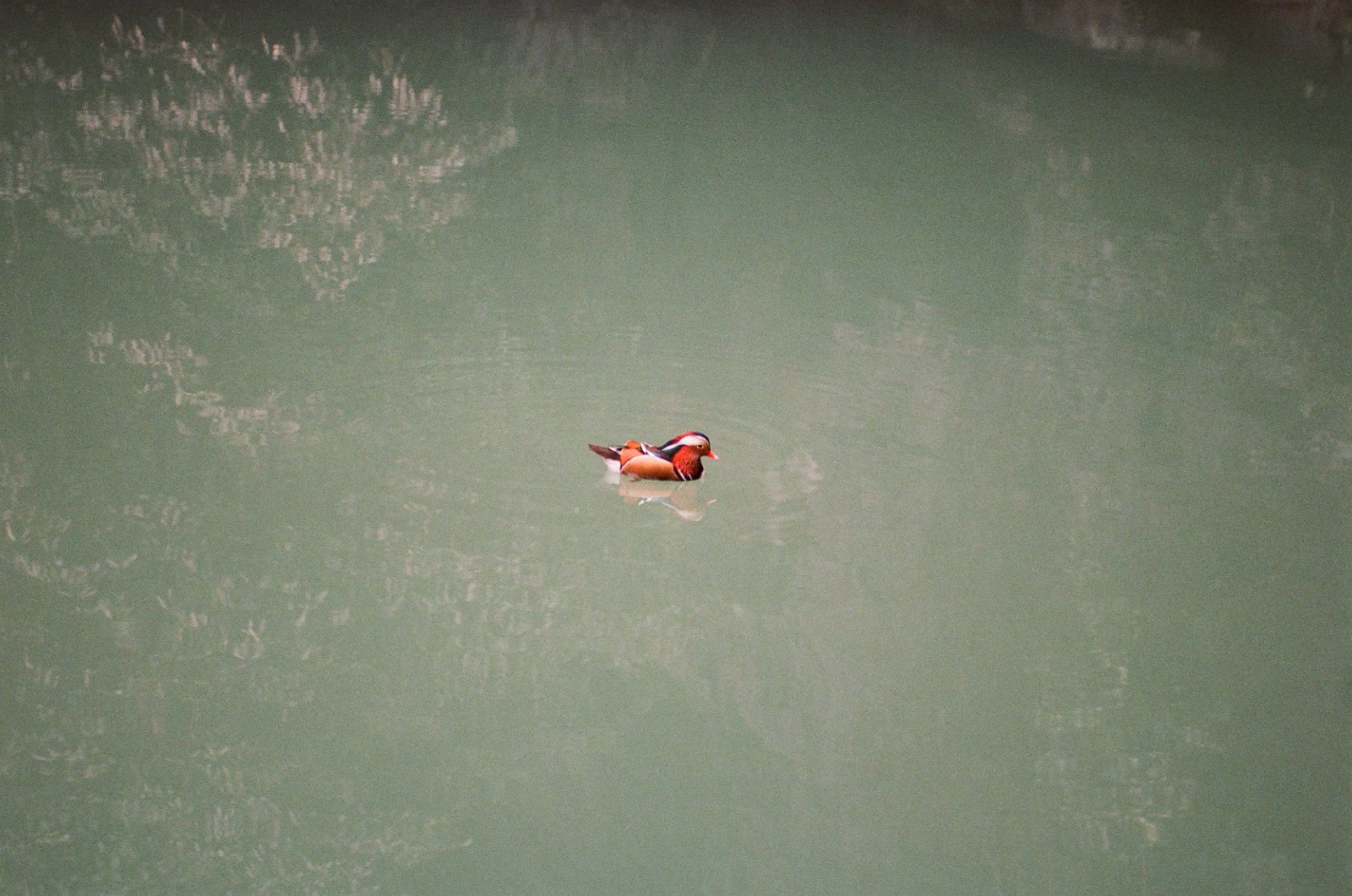 Frame 01