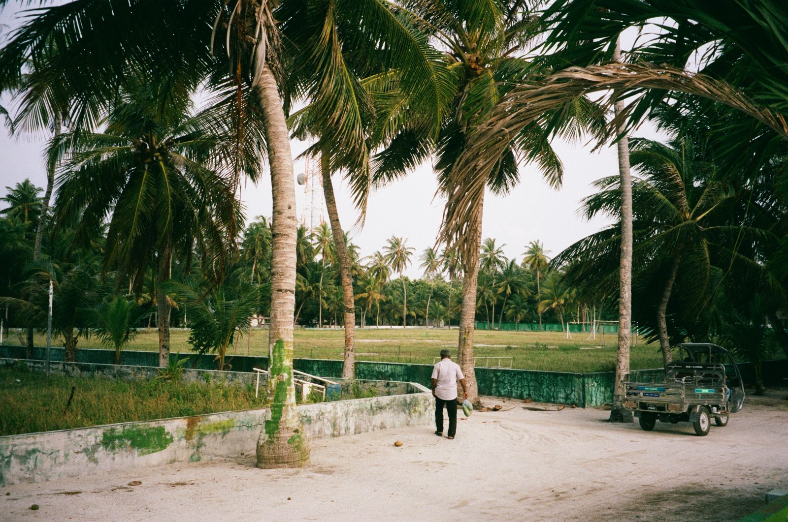 Frame 29